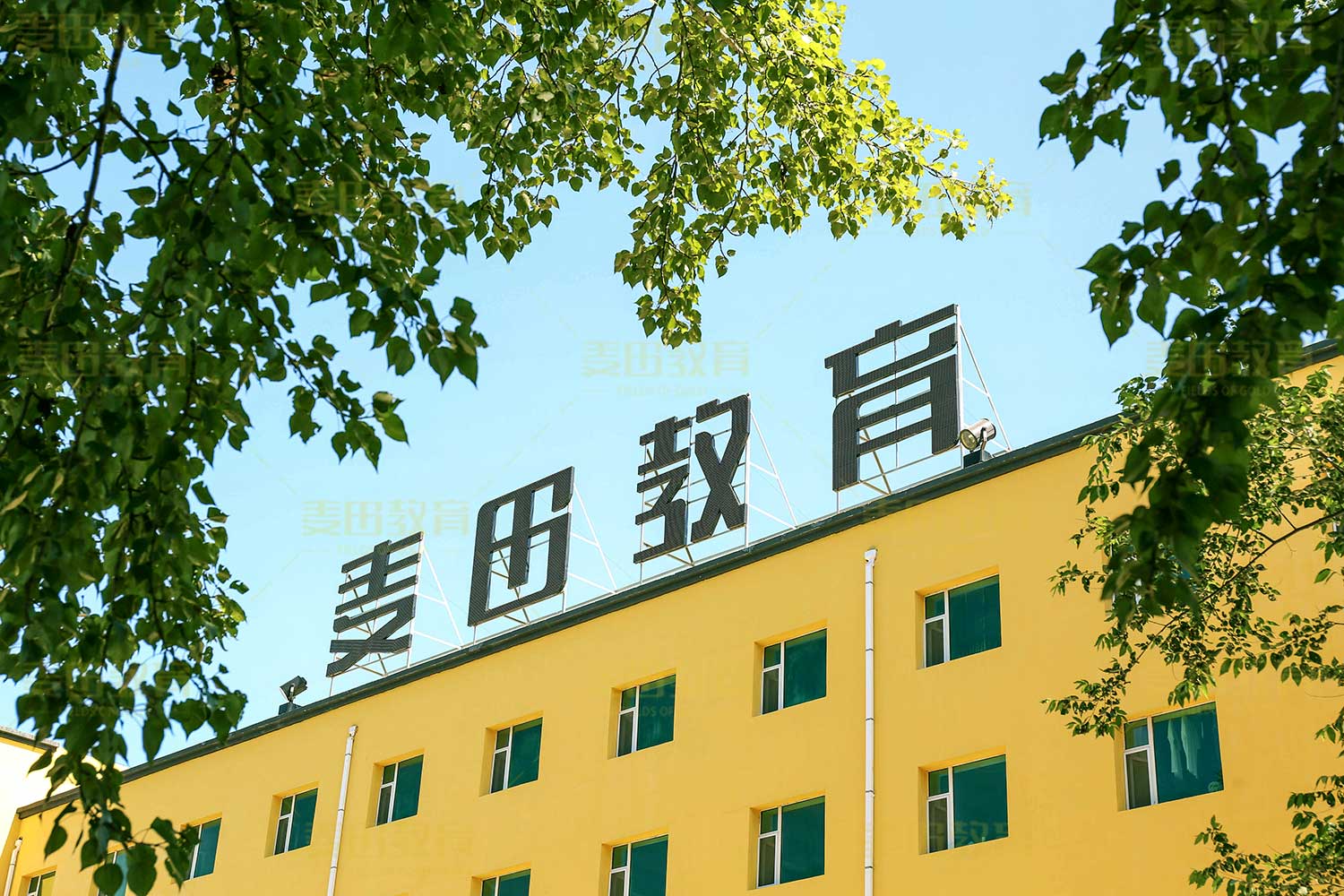 长春艺术生文化课补习学校